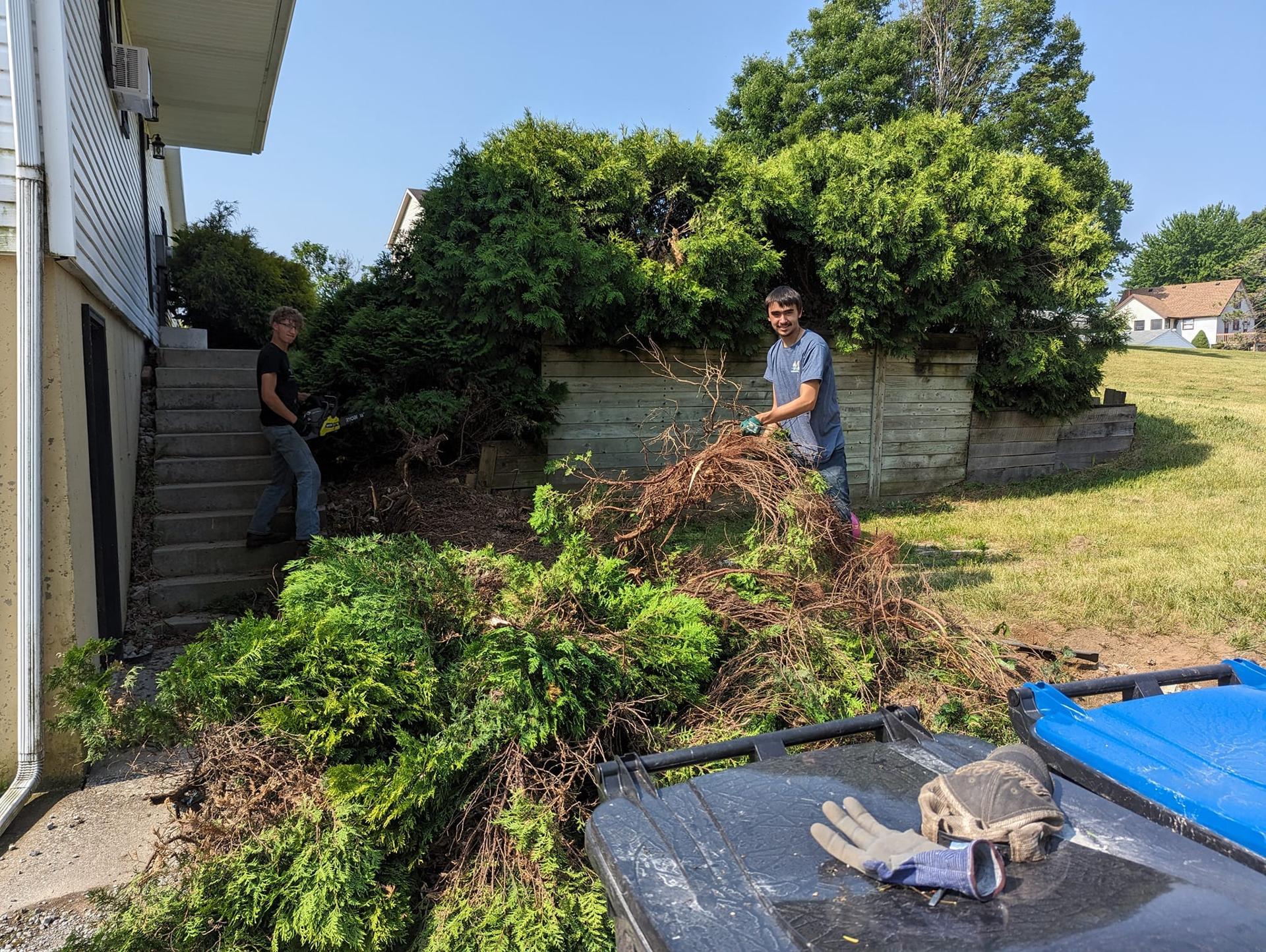 Overgrown brush removal