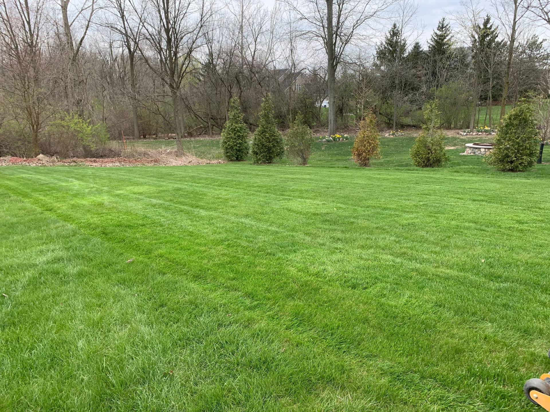 Spring Lawn Care Essentials: Preparing for a Beautiful Season