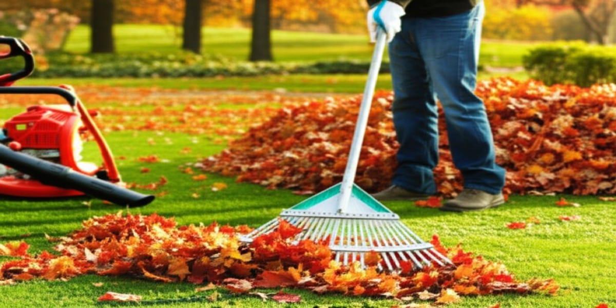 Complete Fall Cleanup Checklist for Your Property