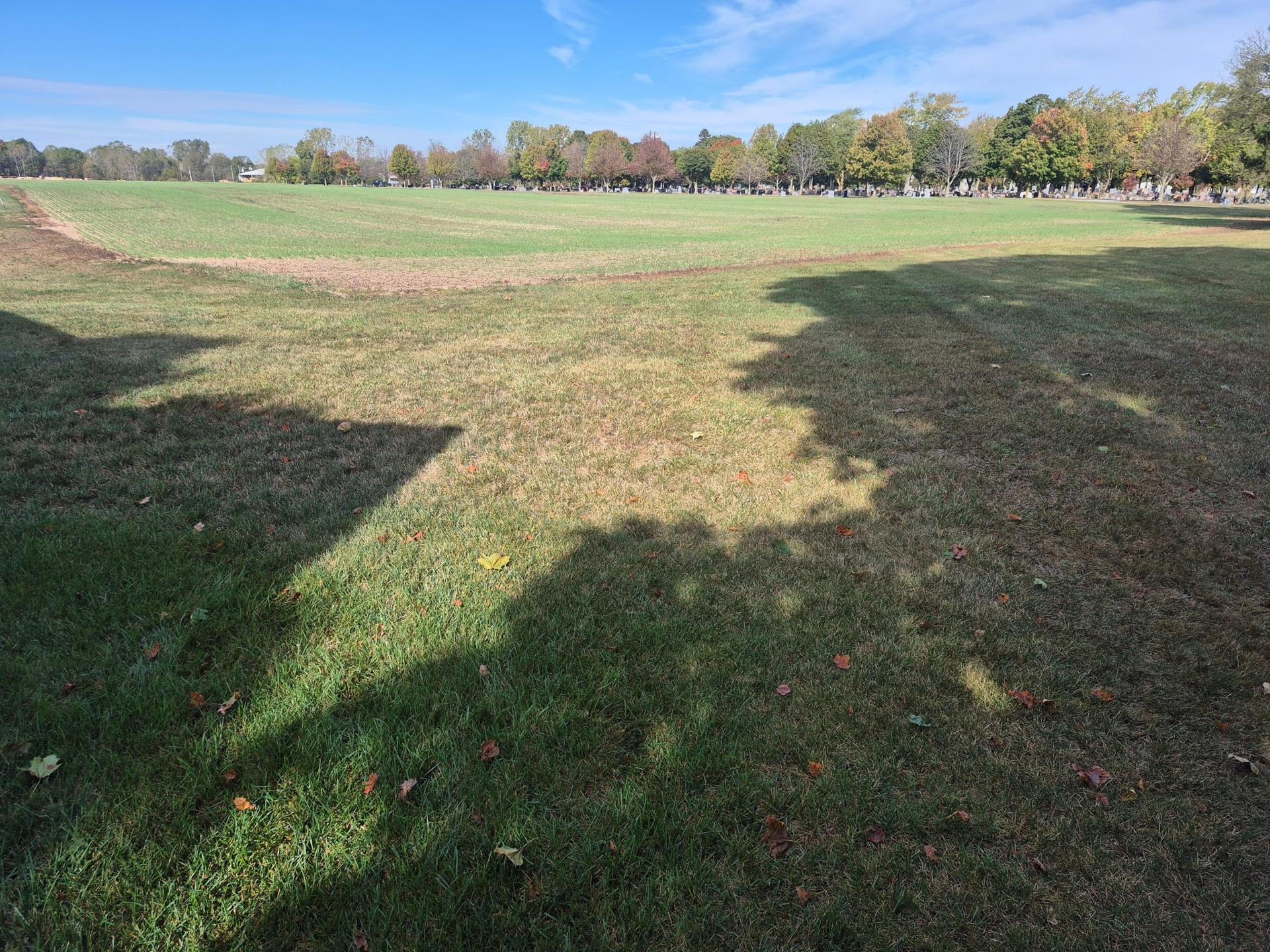 Backyard Before Trees
