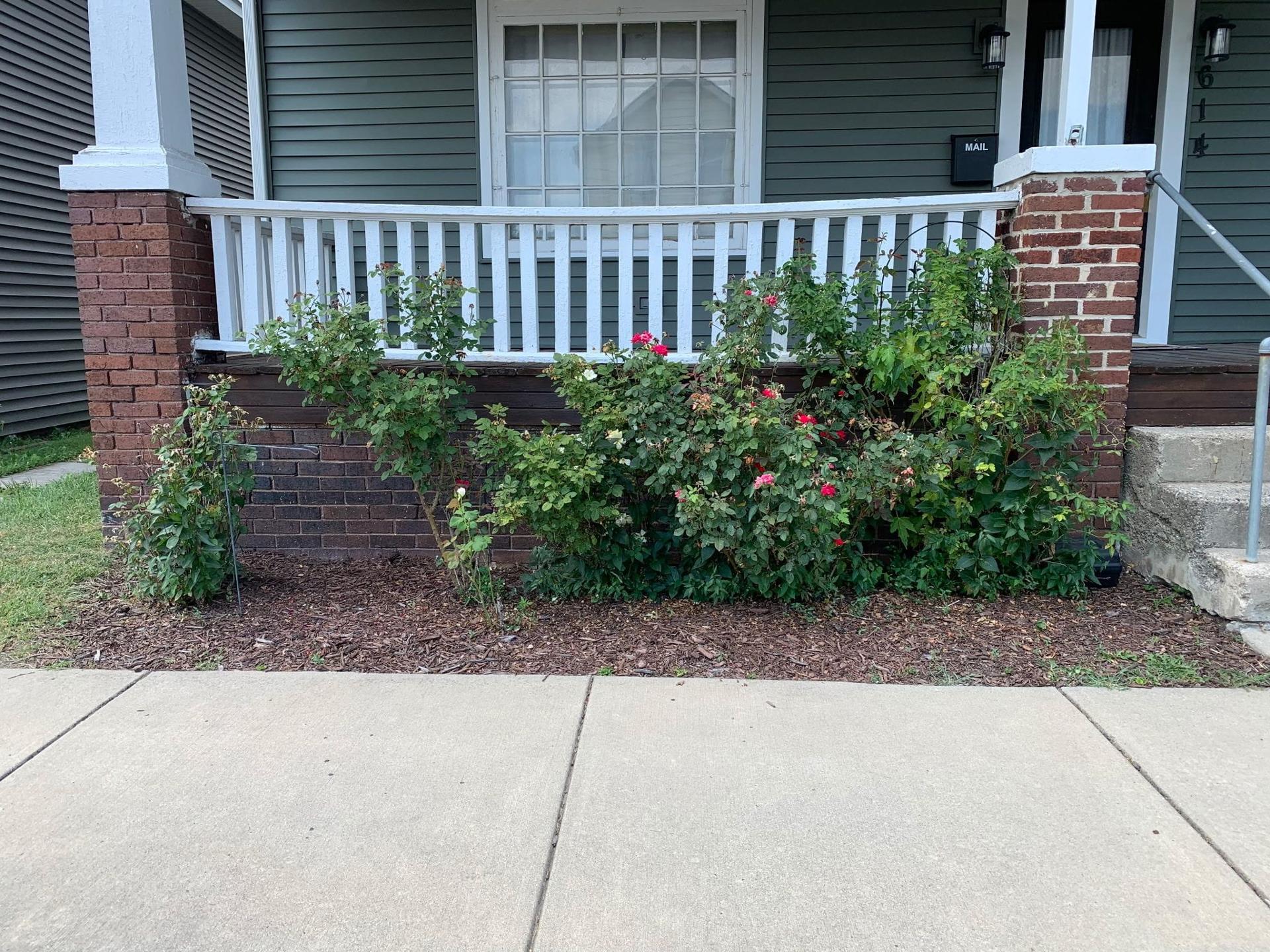 Finished landscaping