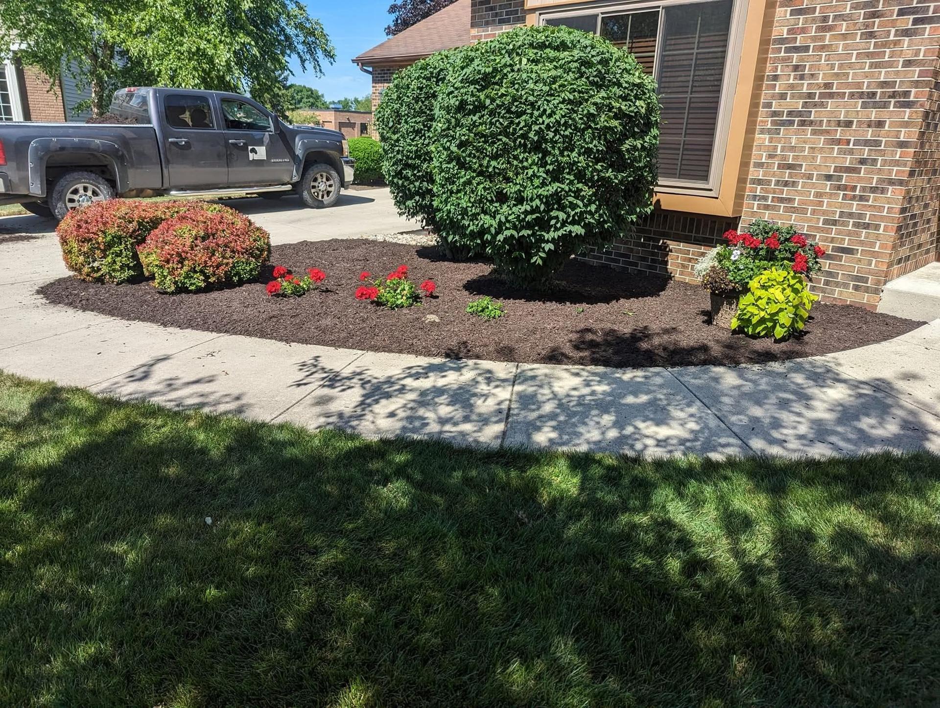Moll Landscaping