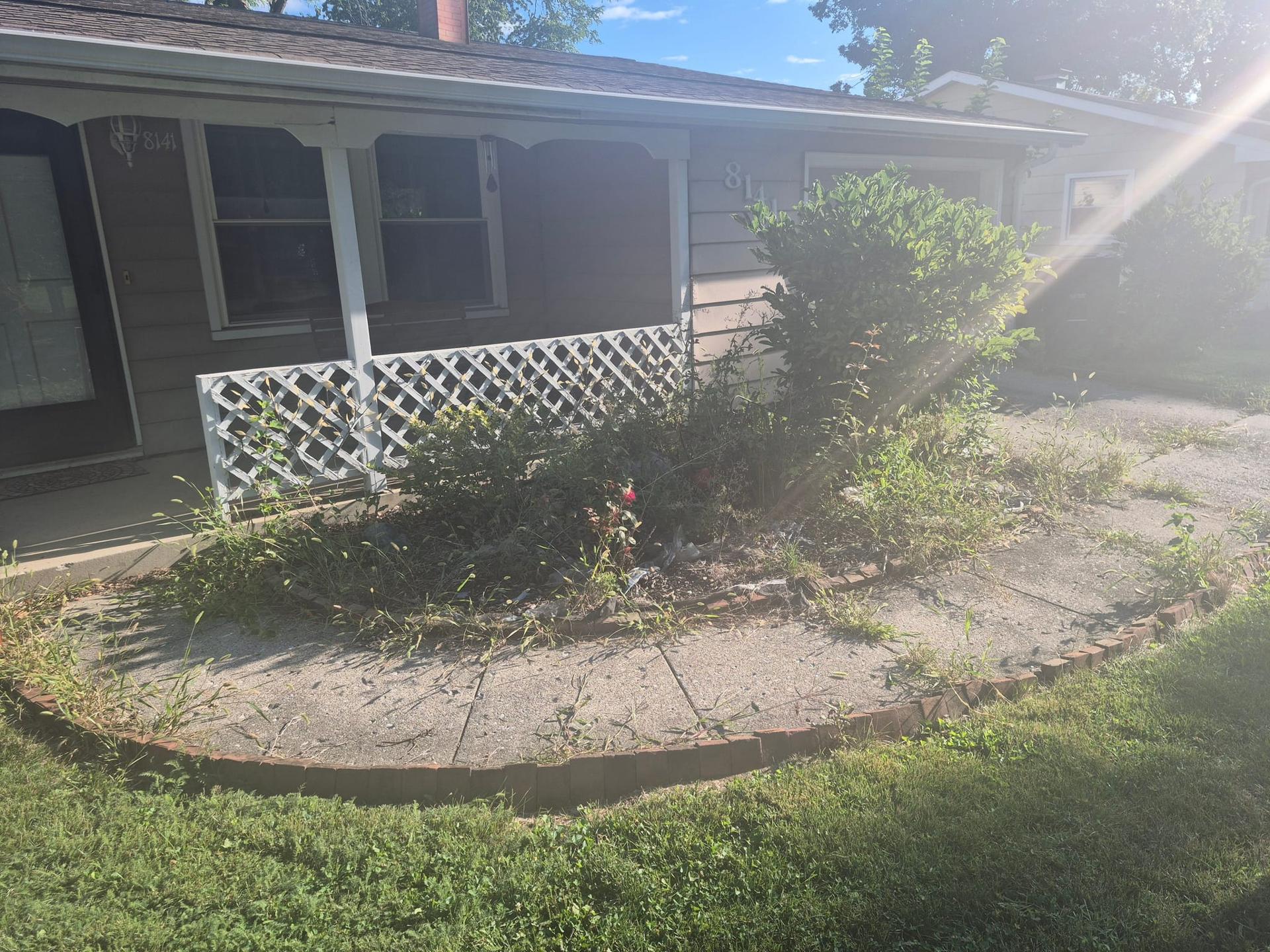 Sidewalk Area Before