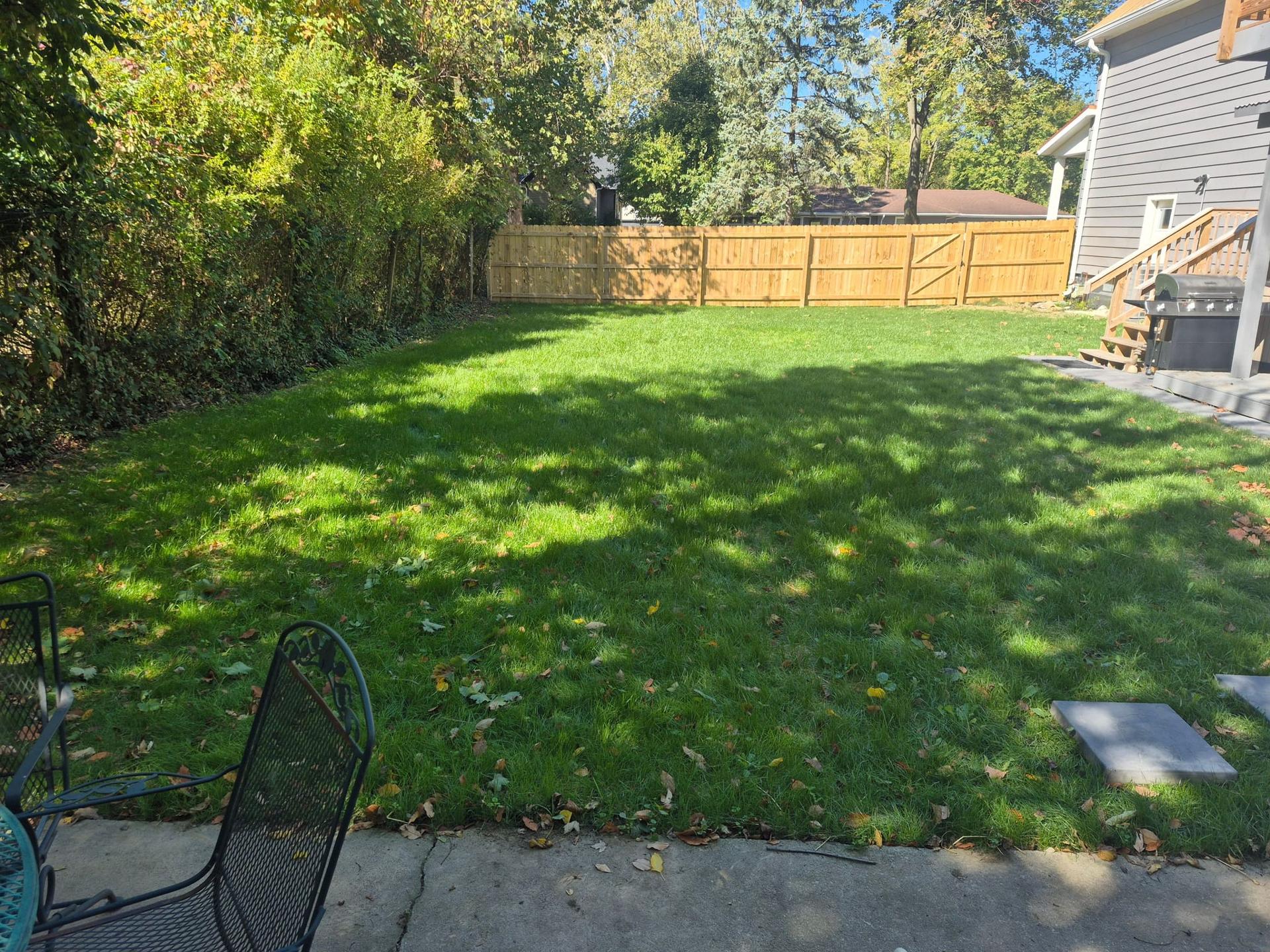 Back Yard After Seeding