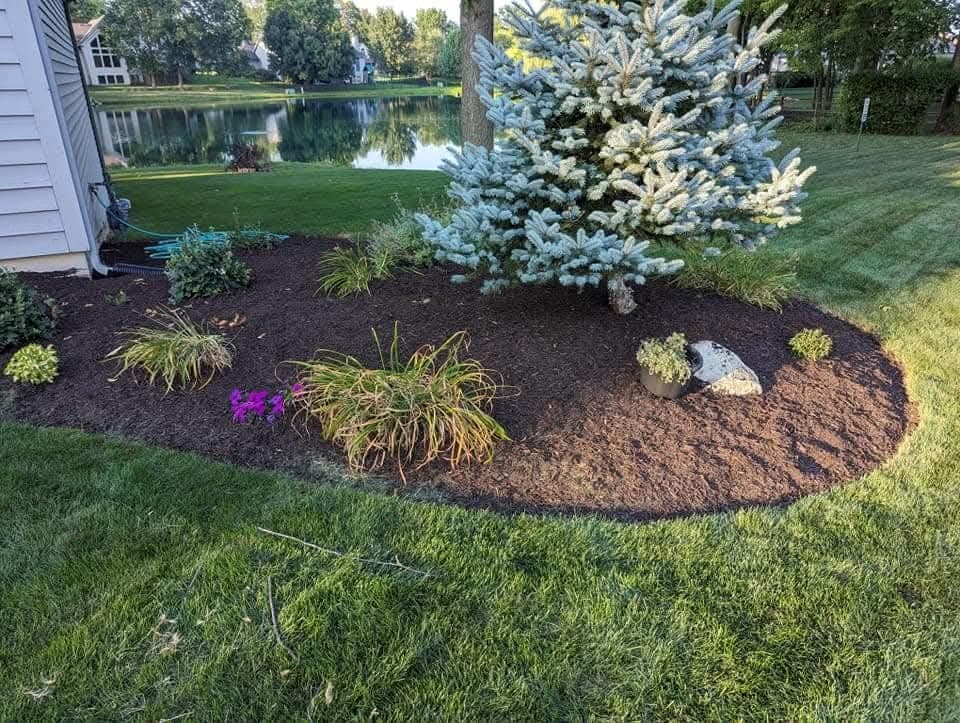 Palmer Mulch Refresher