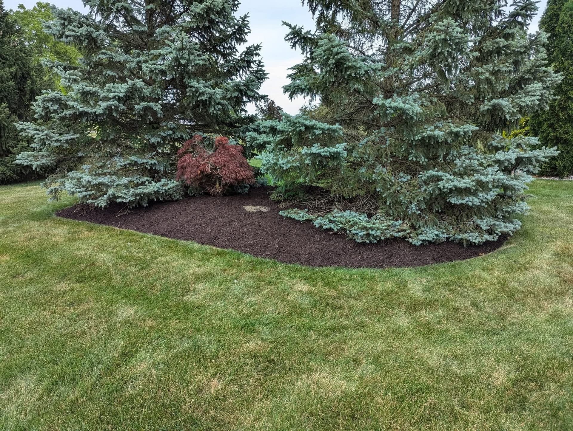 Bridgewater Landscaping