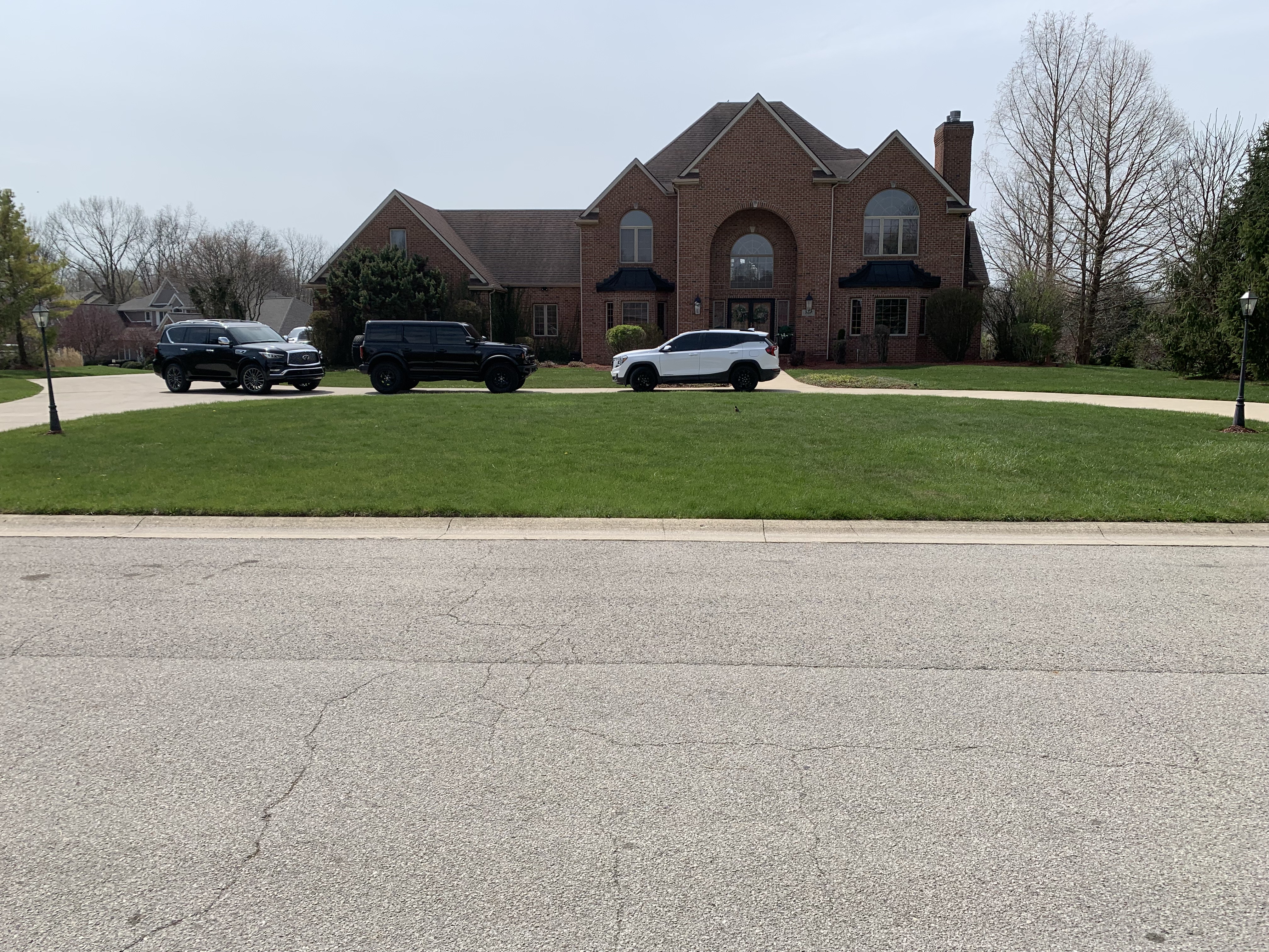 Early spring lawn before care