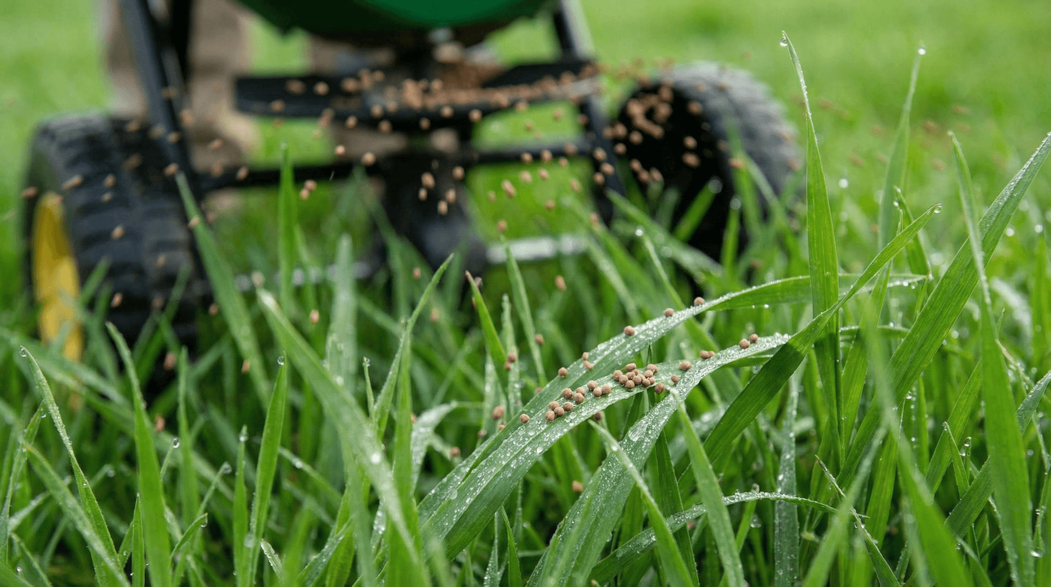 Professional lawn fertilization treatment being applied to green grass at a Fort Wayne Indiana home