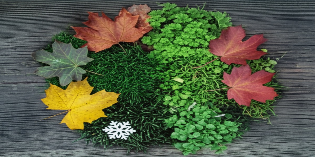 Four seasons of property maintenance in Fort Wayne