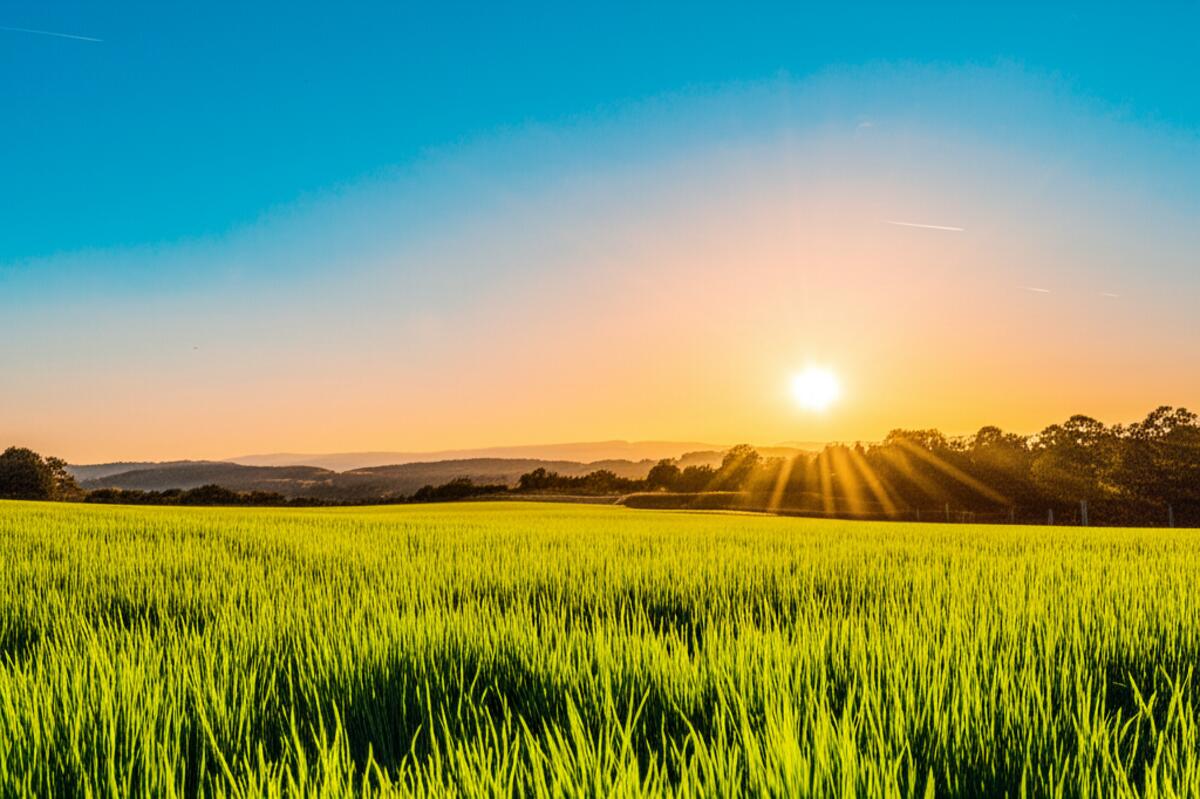 Professional lawn mowing service creating perfect striping pattern on Fort Wayne lawn