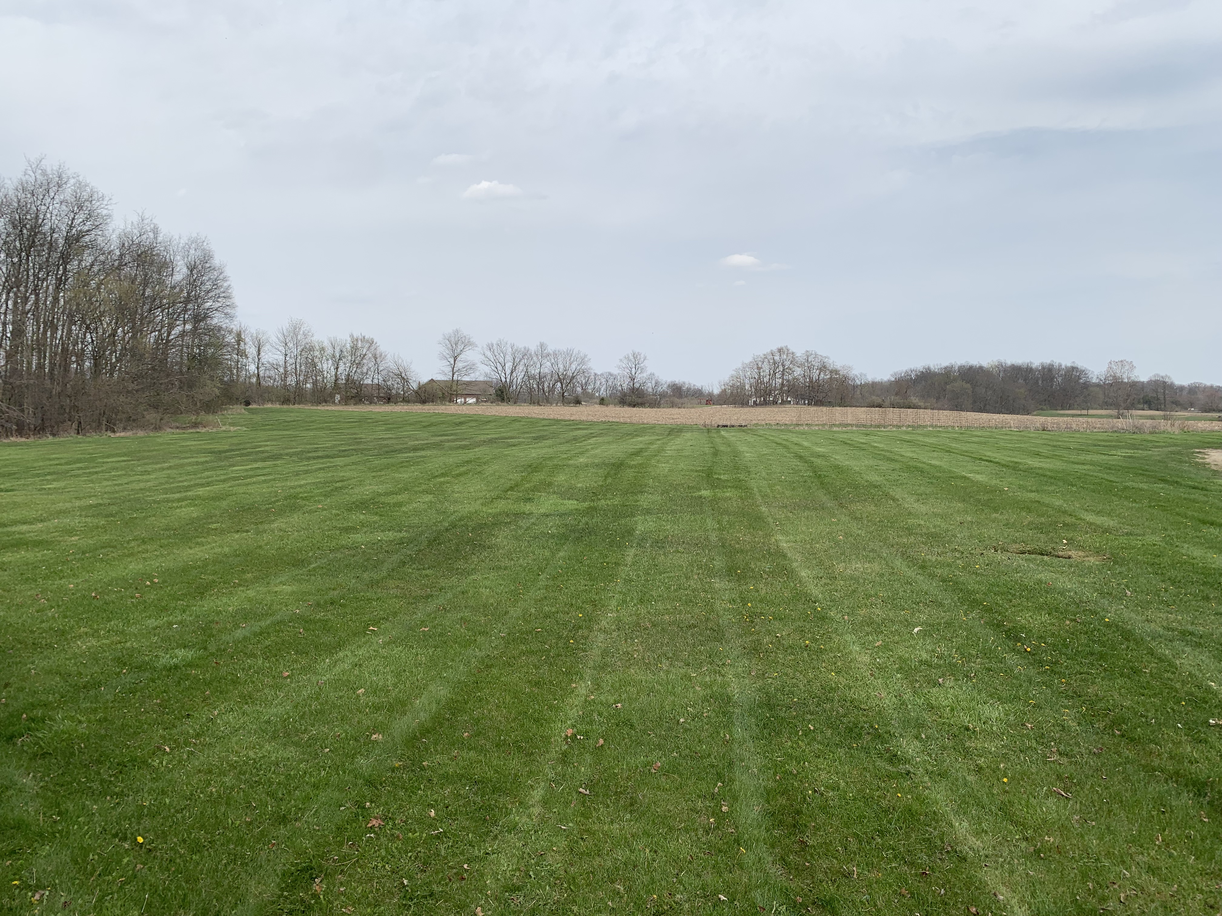 Amazing lawn with lines